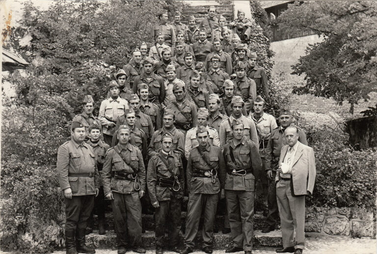 1971 - Vaja na gradu